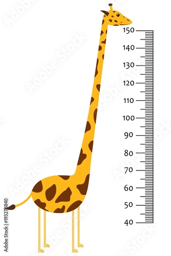 Meter wall or baby scale of growth with Giraffe. Kids height chart. scale from 40 to 150 centimeter. Vector illustration