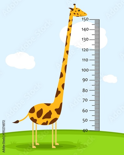 Meter wall or baby scale of growth with Giraffe on the grass. Kids height chart. scale from 40 to 150 centimeter. Vector illustration