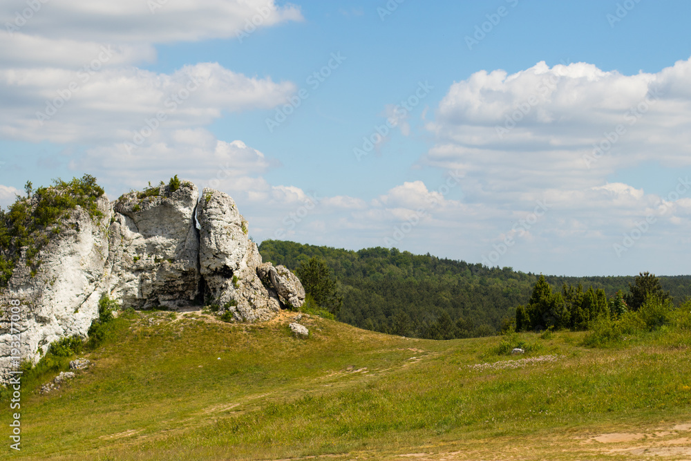 Hills and forest landscape with a light blue sky and white clouds