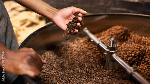 Cropped image of an african man's hands busy feeling the coffee beans after they have just been roasted to perform a quality control before the beans are packaged and shipped globally.