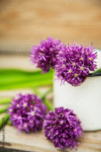 Closeup of flowering chives with shallow depth of field and focus concentrated on flower in the foreground