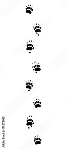 Badger tracks. Typical footprints with long claws - isolated black icon vector illustration on white background.