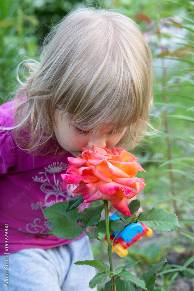 Portrait of a cute baby who smells a flower Portrait of a cute baby who smells a flower