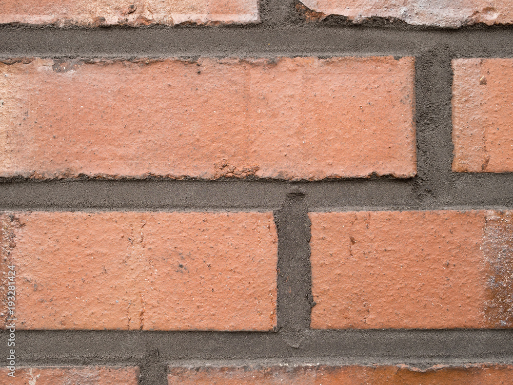 Obraz premium OLYMPUS DIGITAL CAMERA