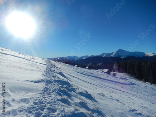 sun
