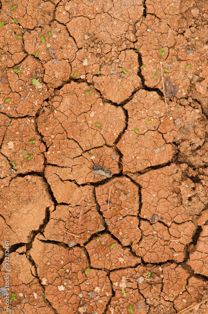 Fototapeta premium crackes