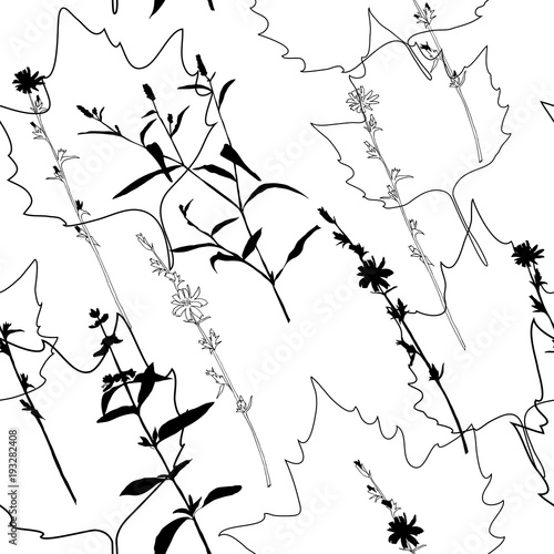 Summer flowers, herbs and leaves floral vector seamless pattern. Realistic botanical background with hand drawn chicory flowers, maple leaves and herbal grasses.