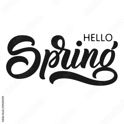 Hello Spring hand lettering, custom season calligraphy, isolated on white background. Vector illustration.