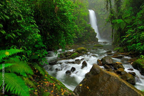 Fototapeta Ogrody wodospadu La Paz, z zielonym lasem tropikalnym, Central Valley, Kostaryka. Podróżowanie po Kostaryce. Wakacje w tropikalnym lesie. Rzeka z białym strumieniem, deszczowy dzień, zielona roślinność, park narodowy.