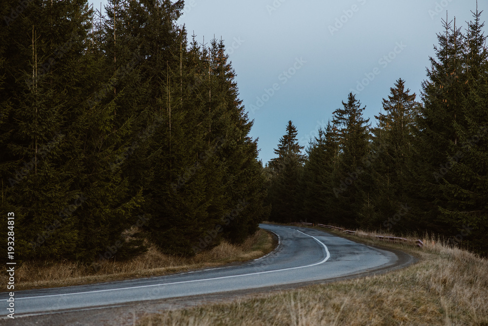 Naklejka premium Autumn in the mountains