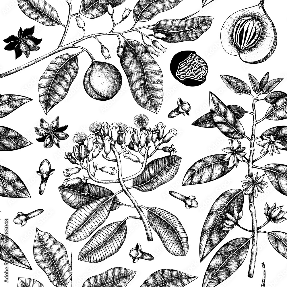 Seamless pattern with hand drawn clove tree, vanilla, anisetree, nutmeg ...