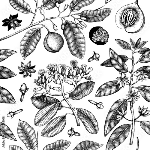 Seamless pattern with hand drawn clove tree, vanilla, anisetree, nutmeg, cinnamon. Vintage leaves, flowers, fruand seeds. Vector background with spice plants. Aromatic and tonic elements illustration.