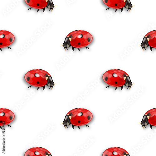 Seamless vector pattern with insects, chaotic background with bright close-up ladybugs