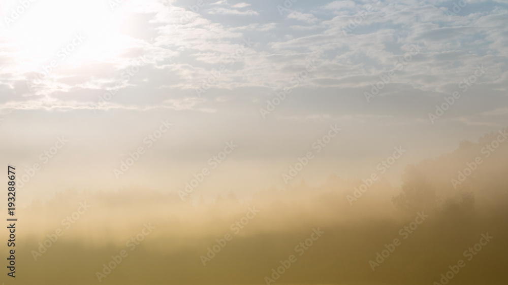 Forest silhouette peeking through heavy fog. The sun rays are visible in the background of a misty forest.