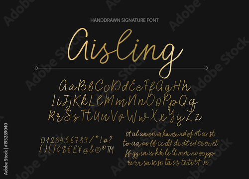 Modern calligraphic font. Brush painted letters.