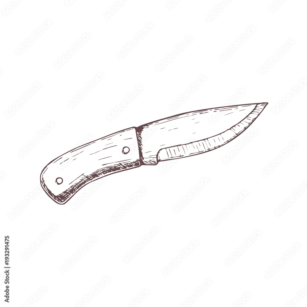 Multi Tool Pocket Knife Sketch Engraving Stock Vector Royalty Free  1489766282  Shutterstock