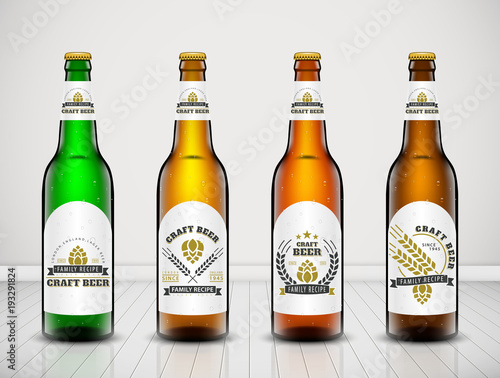 Beer bottle vector set.