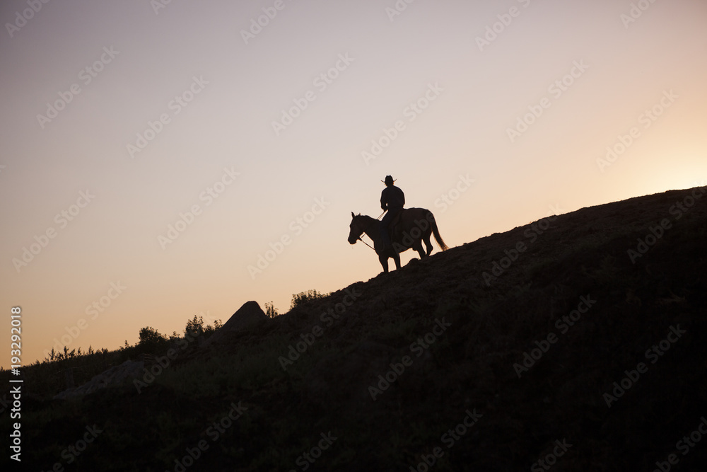 Cowboy on a horse in North Dakota, USA