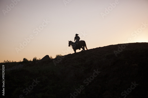 Cowboy on a horse in North Dakota  USA