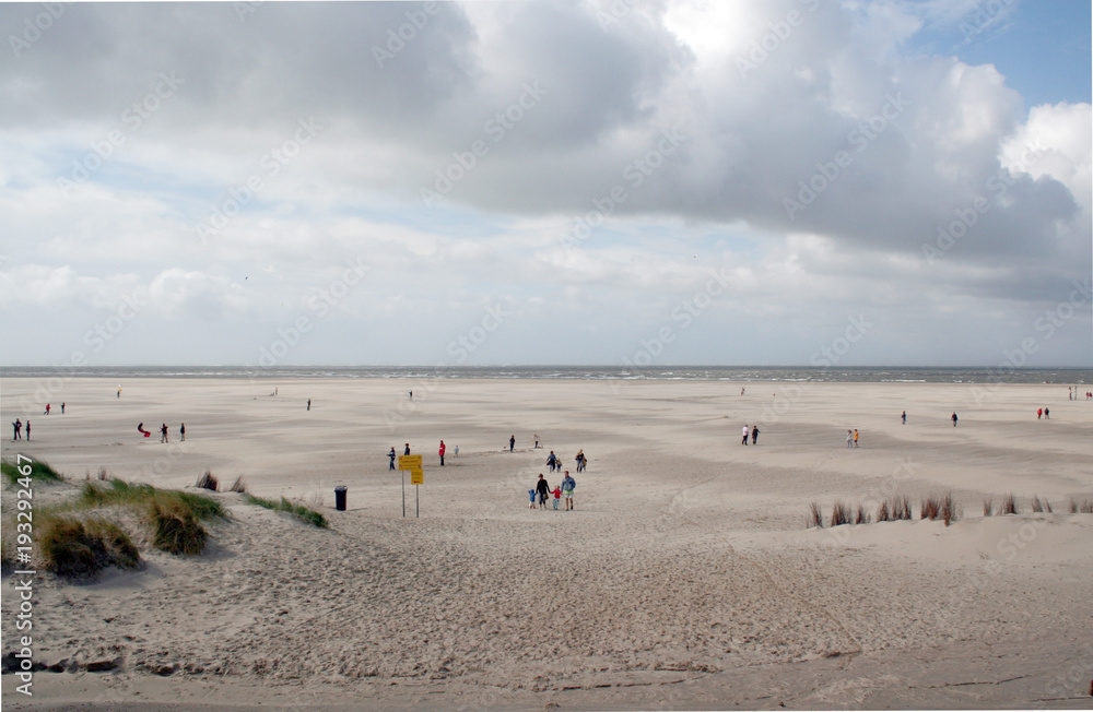 Netherlands,North Holland,Wadden Sea,Texel,june 2016: