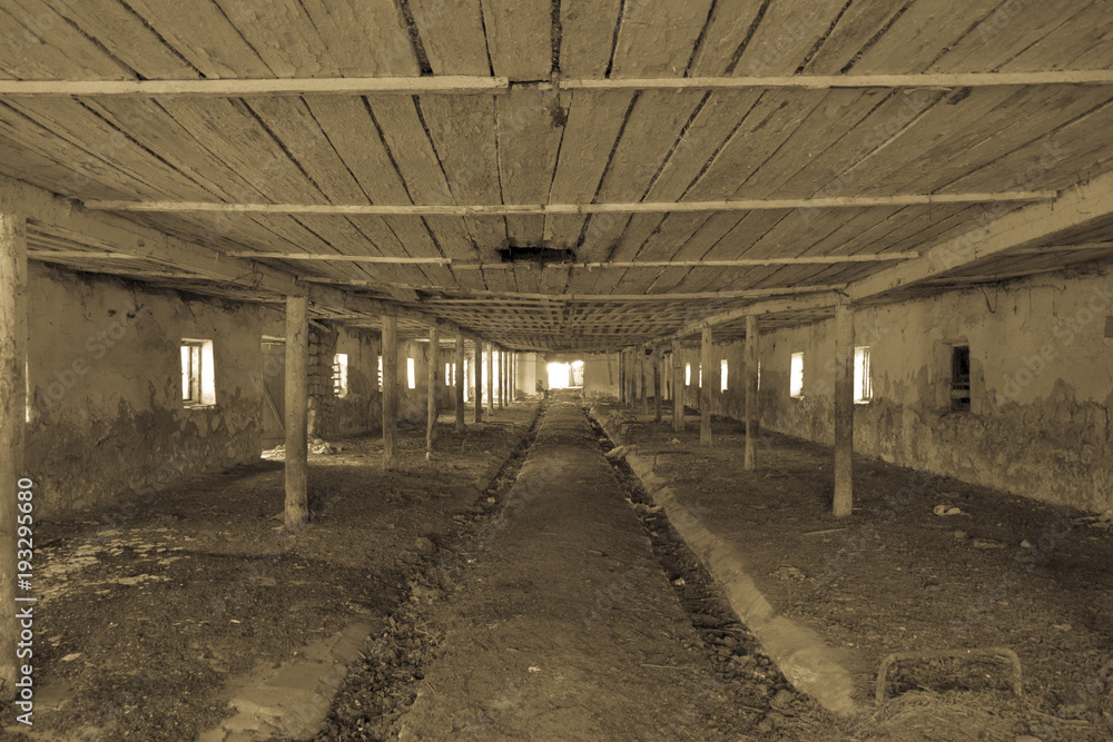 An old abandoned farm for cows. Style Abandoned An old abandoned farm for cows. Style Abandoned