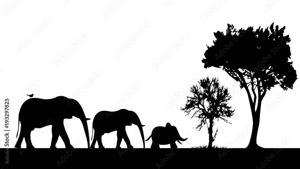 famille éléphants ombre chinoise Stock Illustration | Adobe Stock