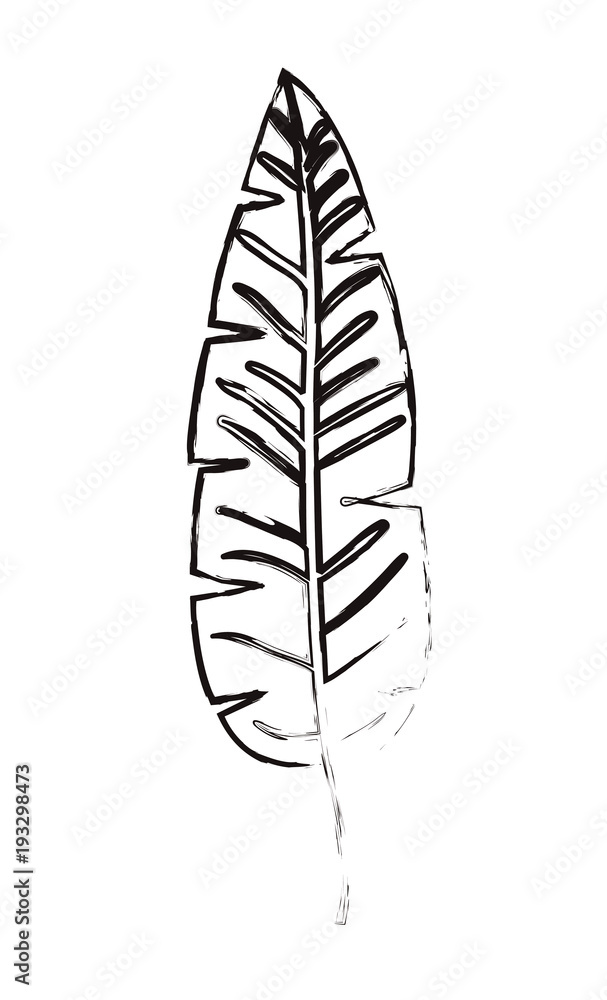 palm leaf ecology icon vector illustration design palm leaf ecology icon vector illustration design