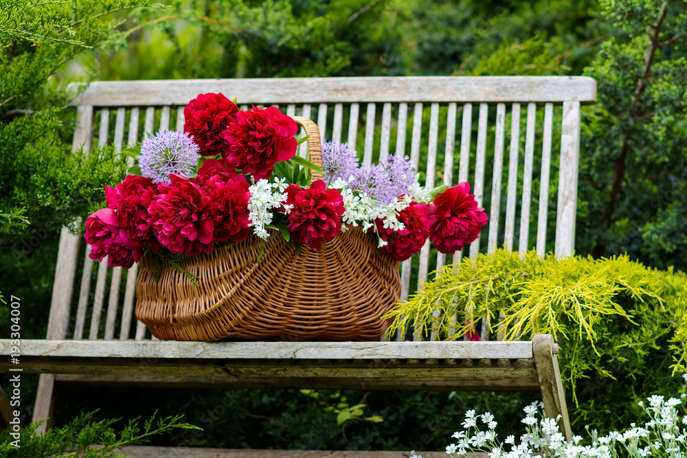 Wicker basket with red peonies on a wooden bench in a spring garden.
