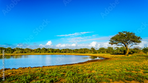 Kumanadam watering hole in Kruger National Park in South Africa