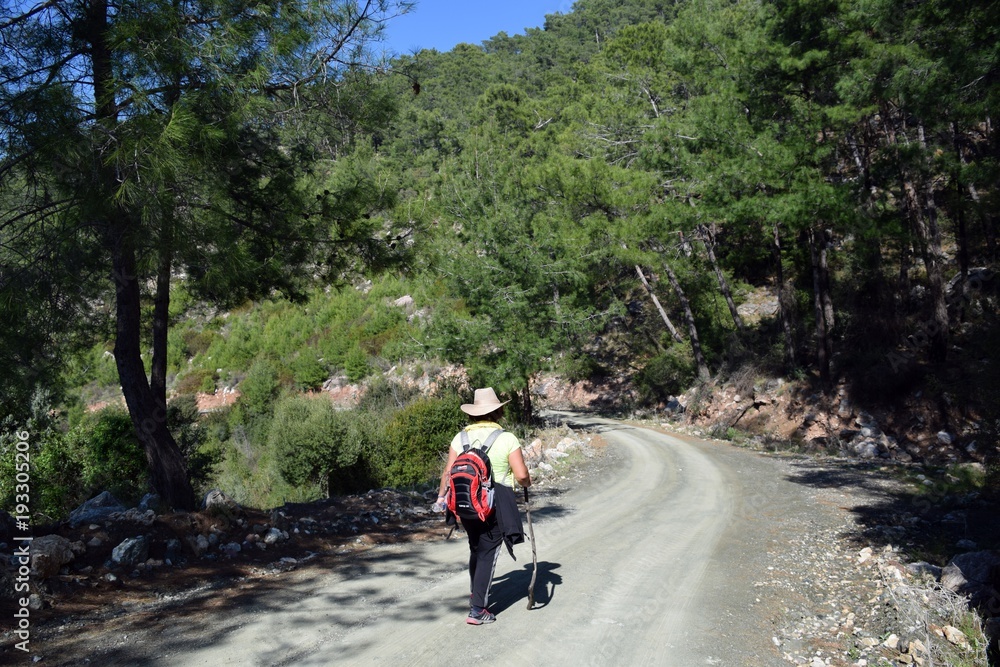 Woman.Backpack tourism.Campaign.Forest.Turkey