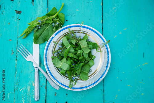 Various, fresh wild herbs / fresh wild herbs / herbs photo