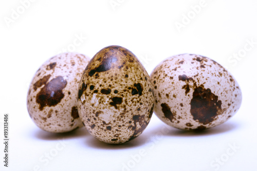 quail egg on a white