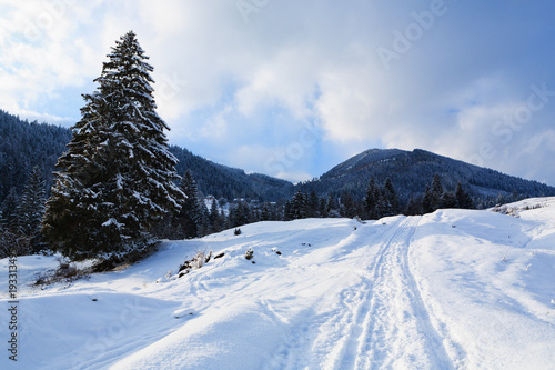 Winter in the Carpathian Mountains © Vitalfoto