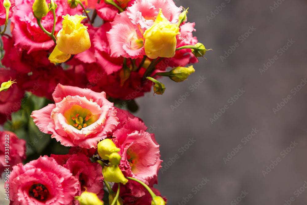 Eustoma flowers on grey background, copy space Eustoma flowers on grey background, copy space