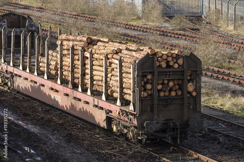 Timber Distrubution by Railway photo