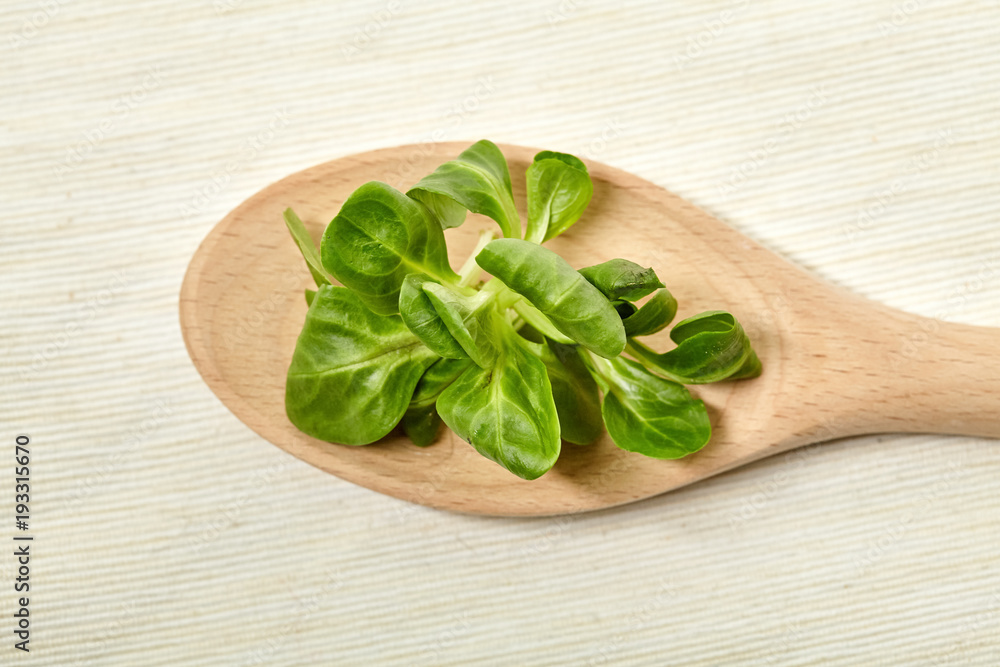 Fresh leaf spinach on background. Close Up view. Fresh leaf spinach on background. Close Up view.