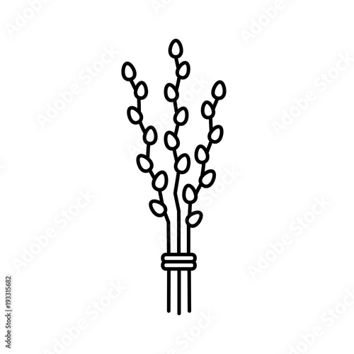 pussy willow brunches line black icon