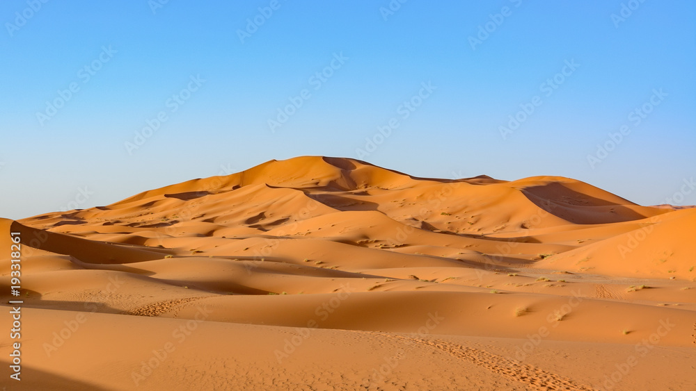 Sahara Desert, Erg Chebi dunes. Merzouga, Morocco