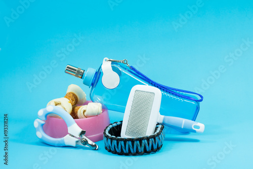 Brush comb, bowl with snacks, collars, nail scissors and water bottles on blue background. Ideas about pet supplies.