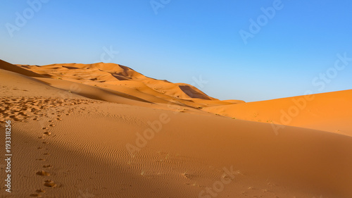 Sahara Desert, Erg Chebi dunes. Merzouga, Morocco © TOP67
