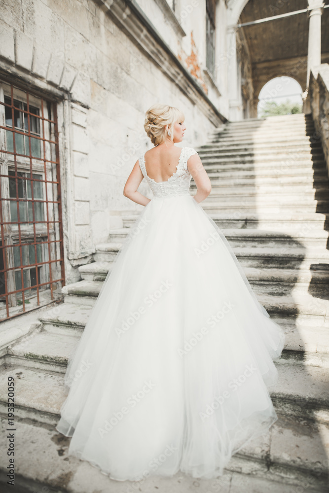 Gorgeous romantic gentle stylish beautiful caucasian bride on the background ancient baroque castle