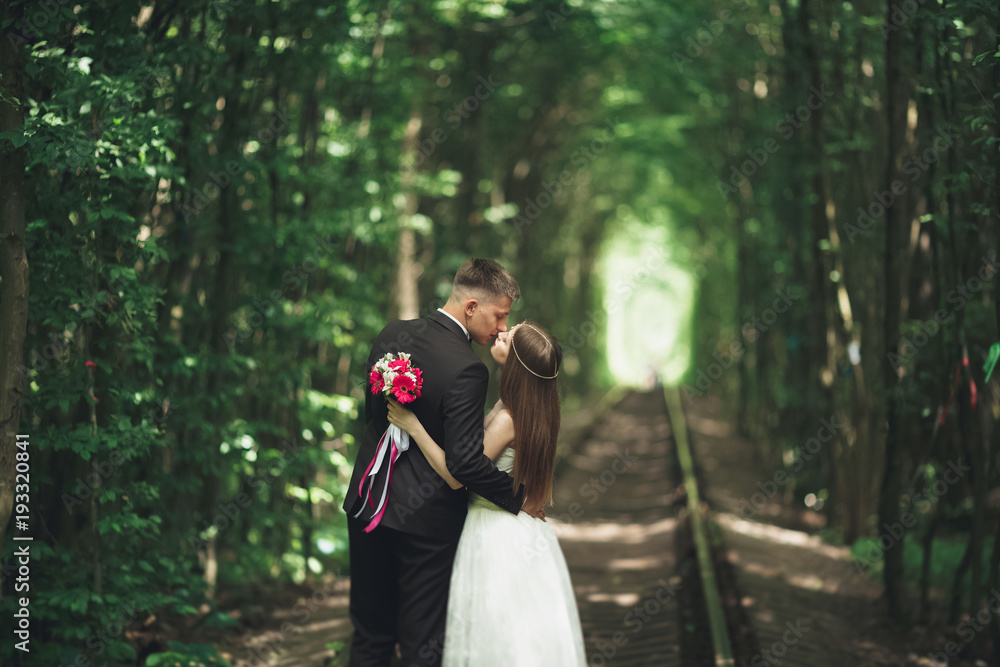 Fototapeta premium Beautiful, perfect couple posing on their wedding day