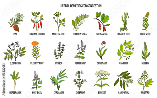 Collection of natural herbs for congestion