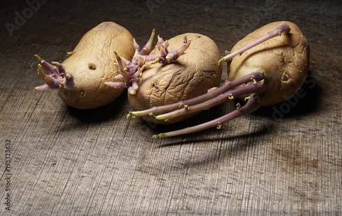 Tableau sur toile Sprouting potatoes, Solanum tuberosum, on wooden background