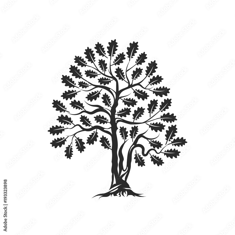 Fototapeta premium Huge and sacred oak tree silhouette logo badge isolated on white background