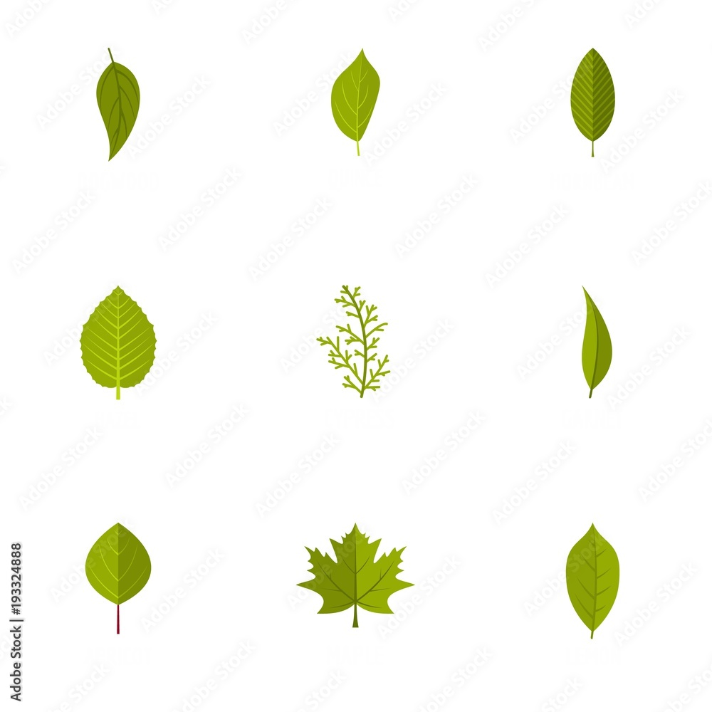 Leaf icons set. flat set of 9 leaf vector icons for web isolated on white background