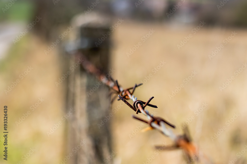 Barbed Wire Close Up Barbed Wire Close Up