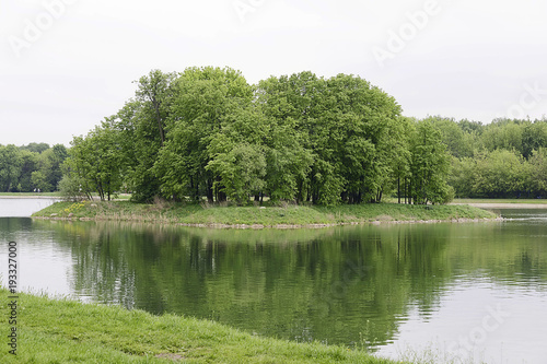 Island with trees on the lake