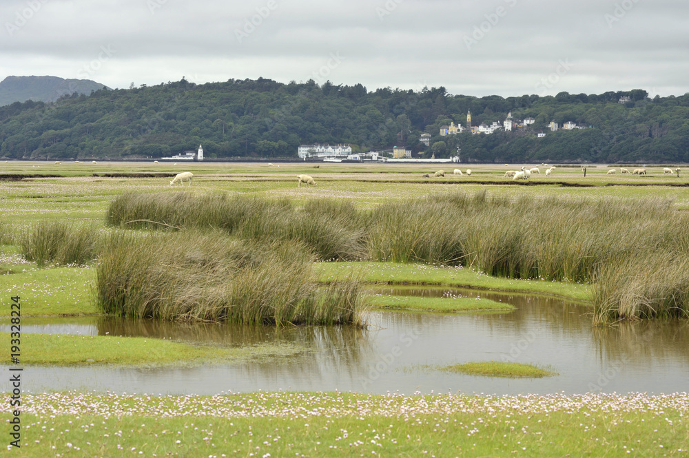 Dwyryd Estuary