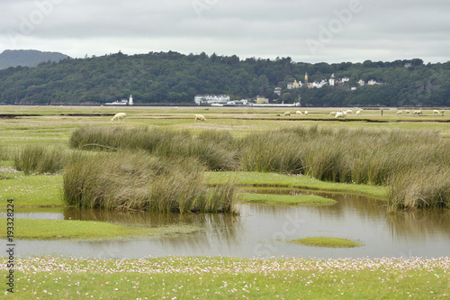 Obraz na płótnie Dwyryd Estuary w salonie